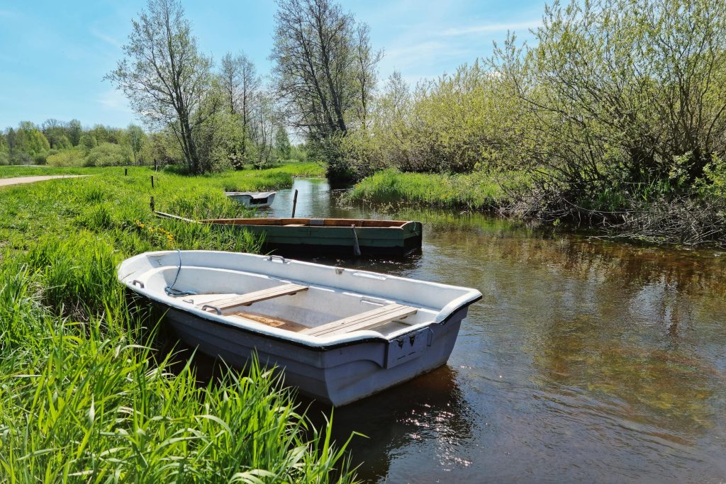 Unlocking Quick Loans in Estonia: A Comprehensive Review of Luminor Bank, Swedbank, and More - Melhores opções de empréstimo rapido na Estônia